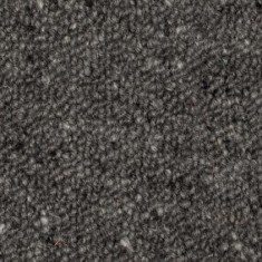 Rocky discounted carpets