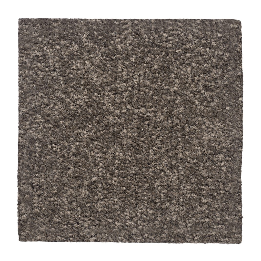 The Hamptons Onehunga Carpets & Rugs