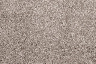 Calluna-Cosmic Carpet Thumbnail