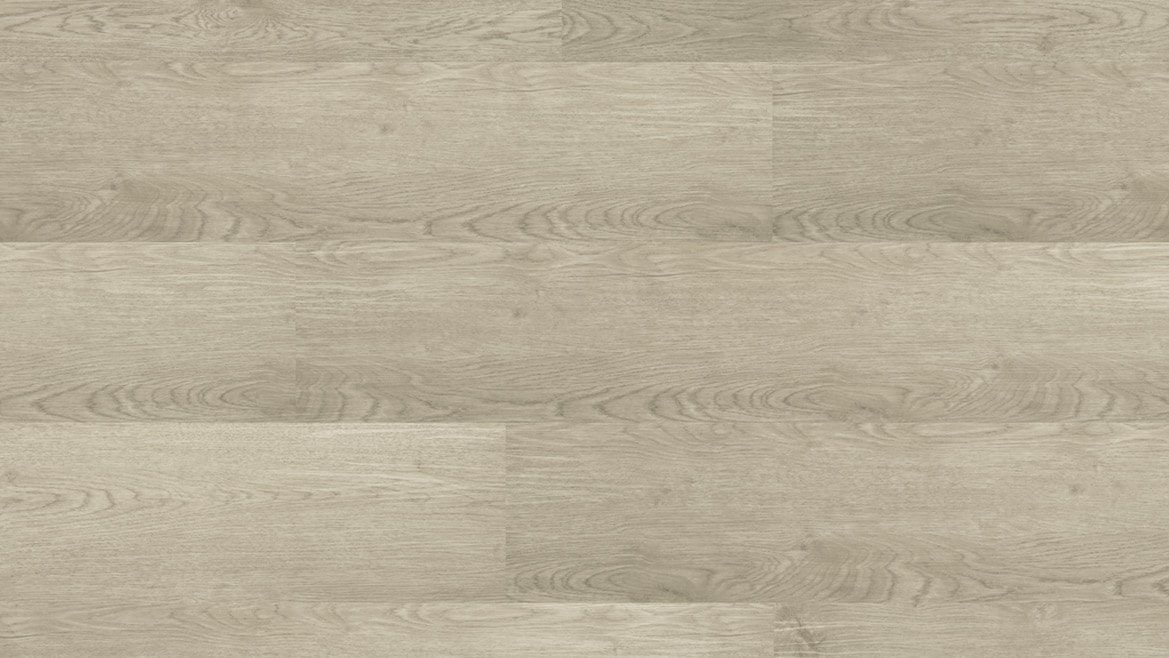 Polaris Onehunga Carpets Rugs Qld Spotted Gum Moonstone Meteor Glimmer