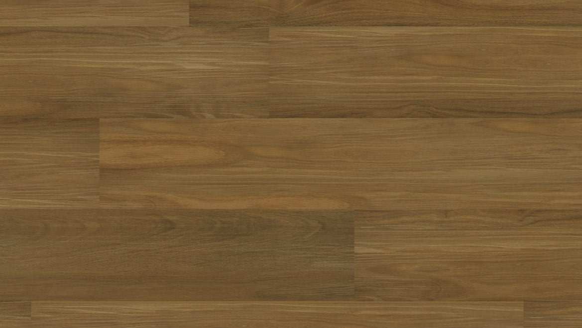 Polaris Onehunga Carpets Rugs Qld Spotted Gum