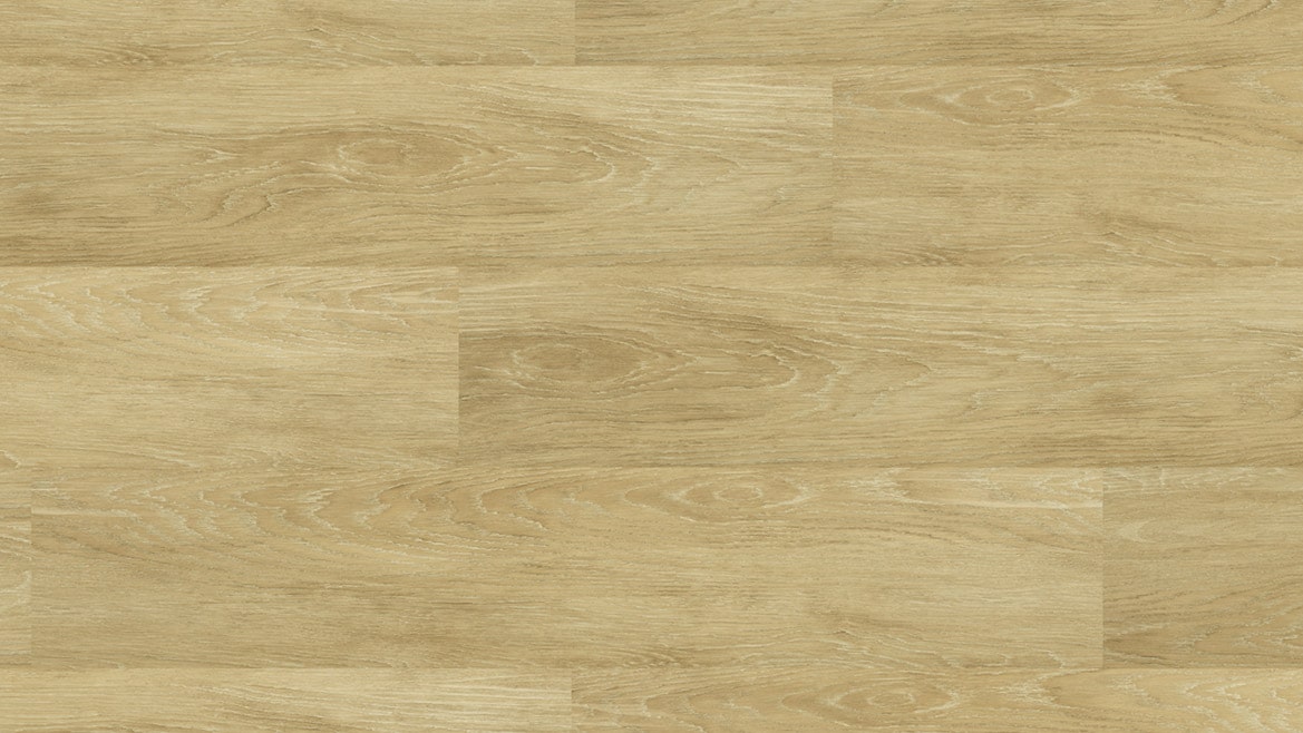 Polaris Onehunga Carpets Rugs Radiance Qld Spotted Gum