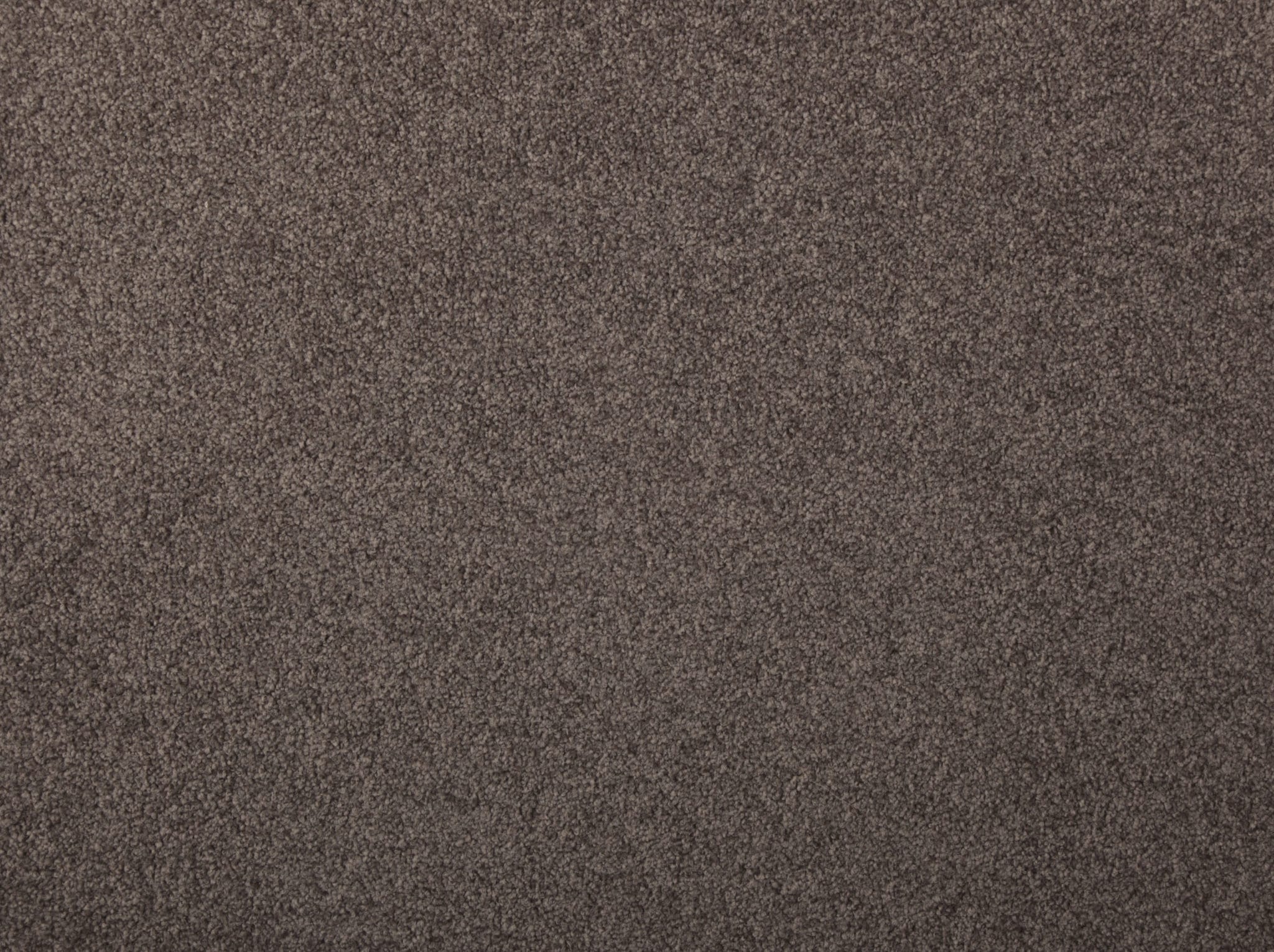 Augusta_Gracewood Onehunga Carpets & Rugs