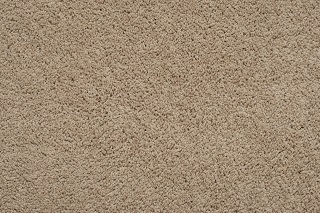Long Cut Pile Solution Dyed Nylon Cavalier Bremworth