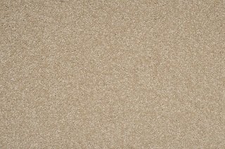 Cut Pile Wool Cavalier Bremworth