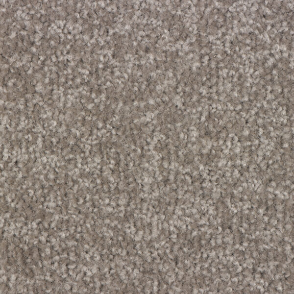 Trojan Twist - Image 4