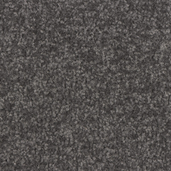 Trojan Twist - Image 3