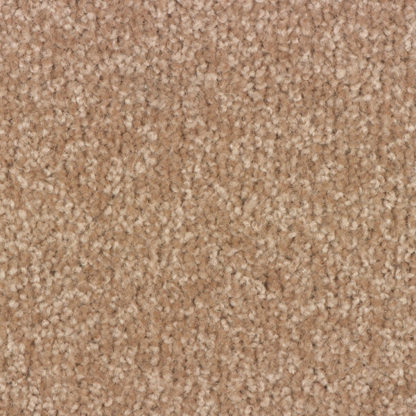 Trojan Twist - Image 5