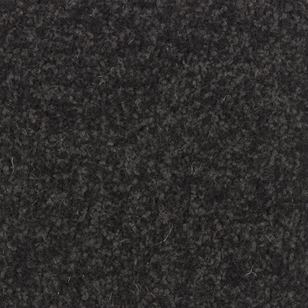 Trojan Twist - Image 2