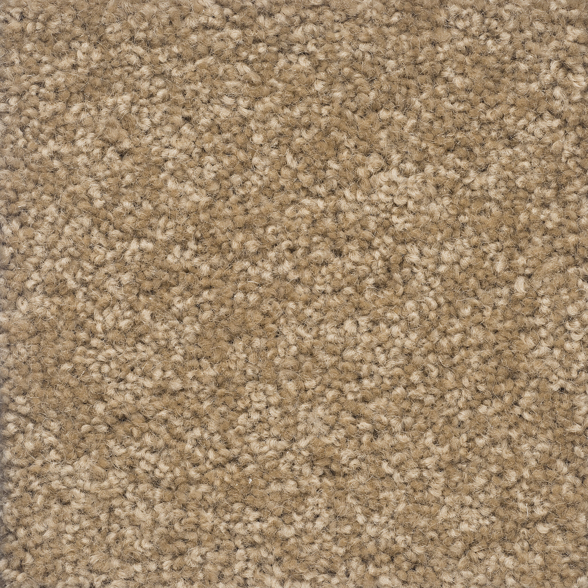 Castilla Onehunga Carpets & Rugs