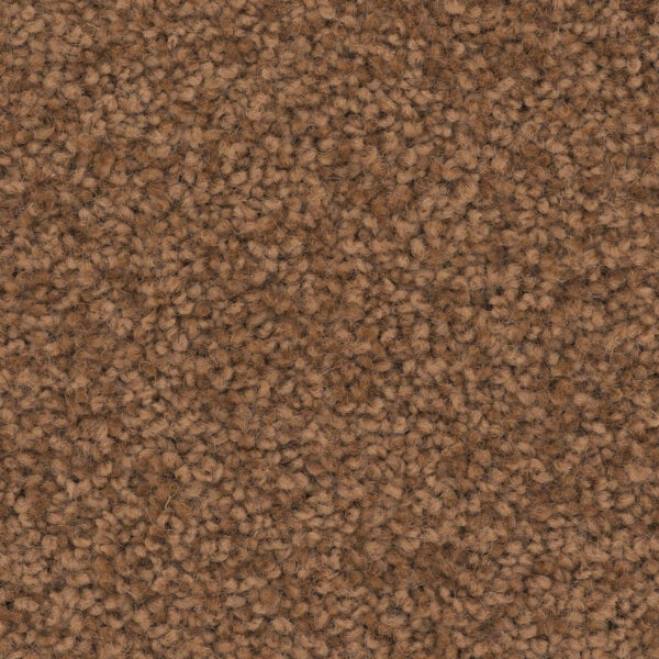 Charmuse - Image 11