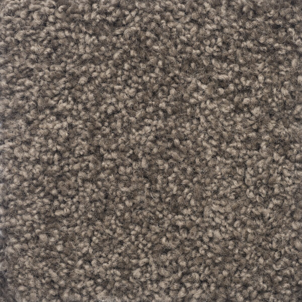 Charmuse - Image 9
