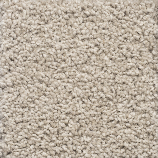 Charmuse - Image 3