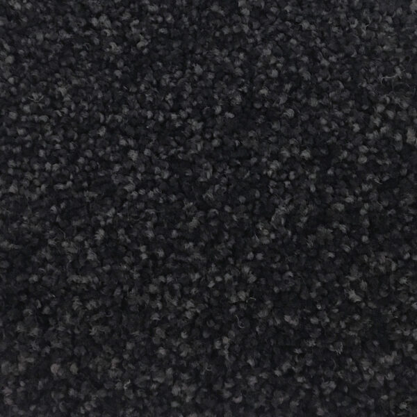 Delta - Image 6