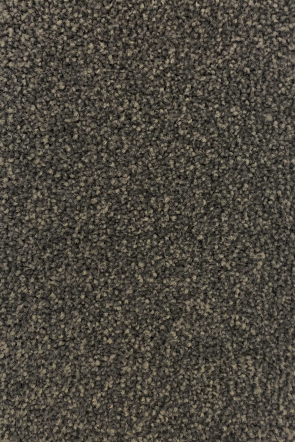 Domain - Image 3