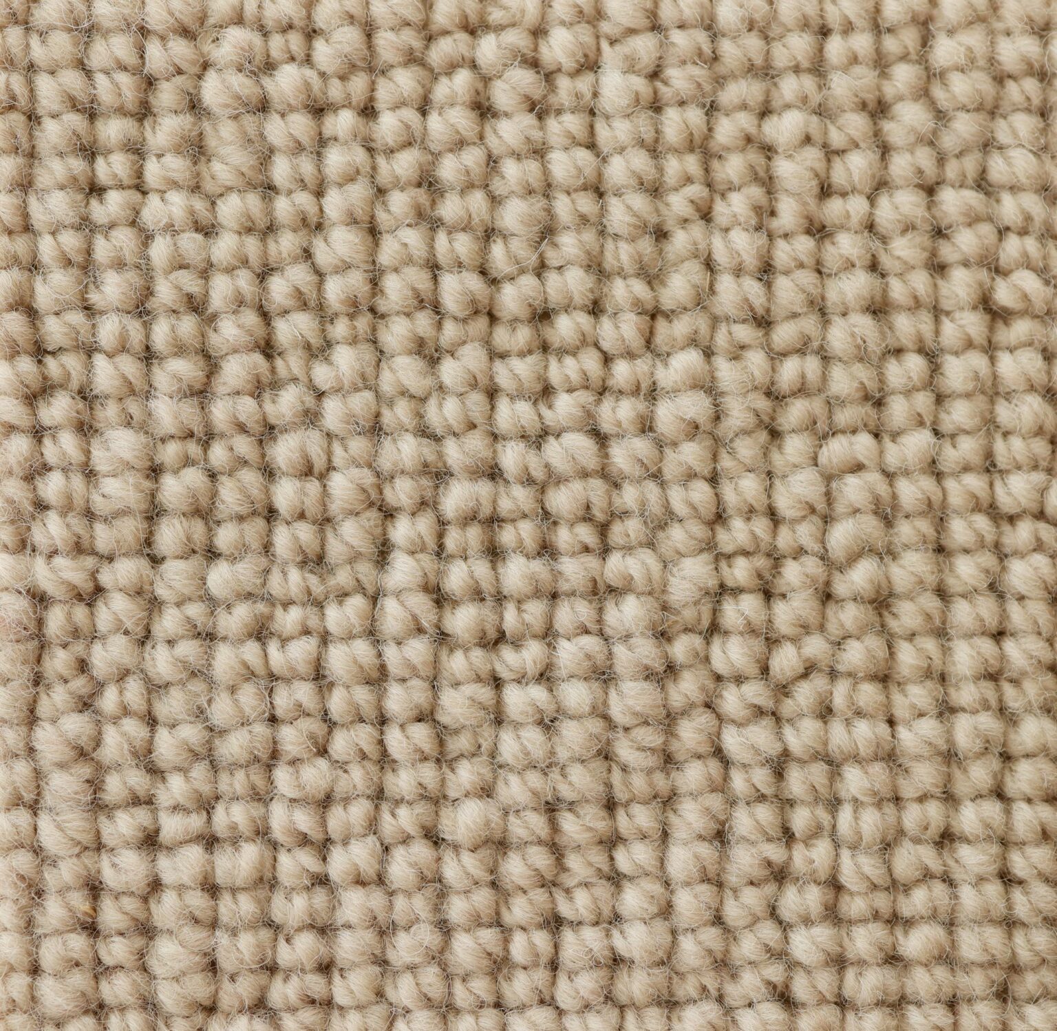 Kensho Onehunga Carpets & Rugs