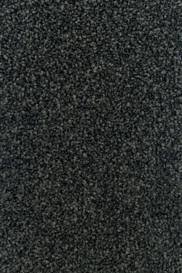 Domain - Image 4