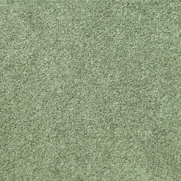 Federal - Image 4