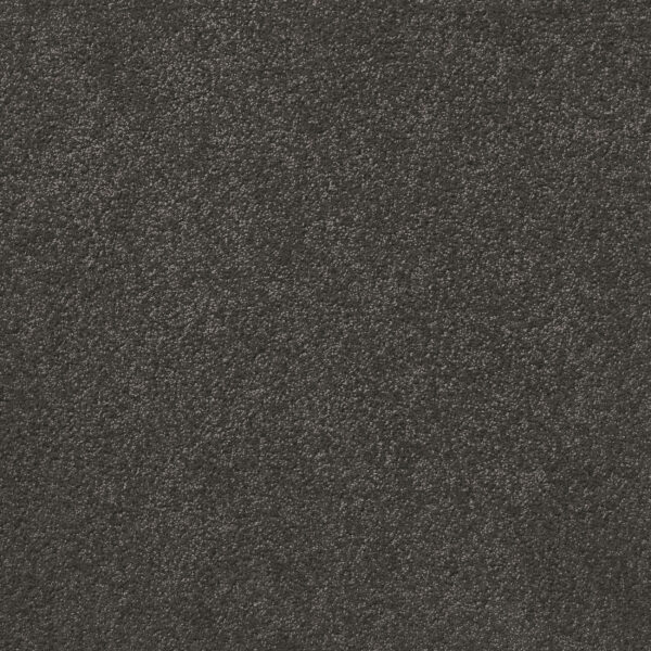 Federal - Image 3