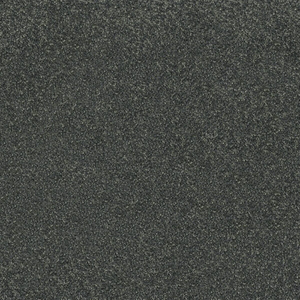 Westminister - Image 12