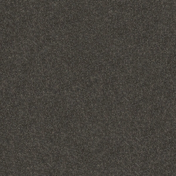 Westminister - Image 6