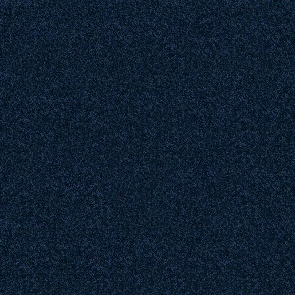Westminister - Image 4