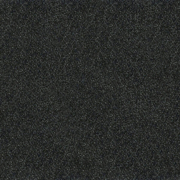 Westminister - Image 2