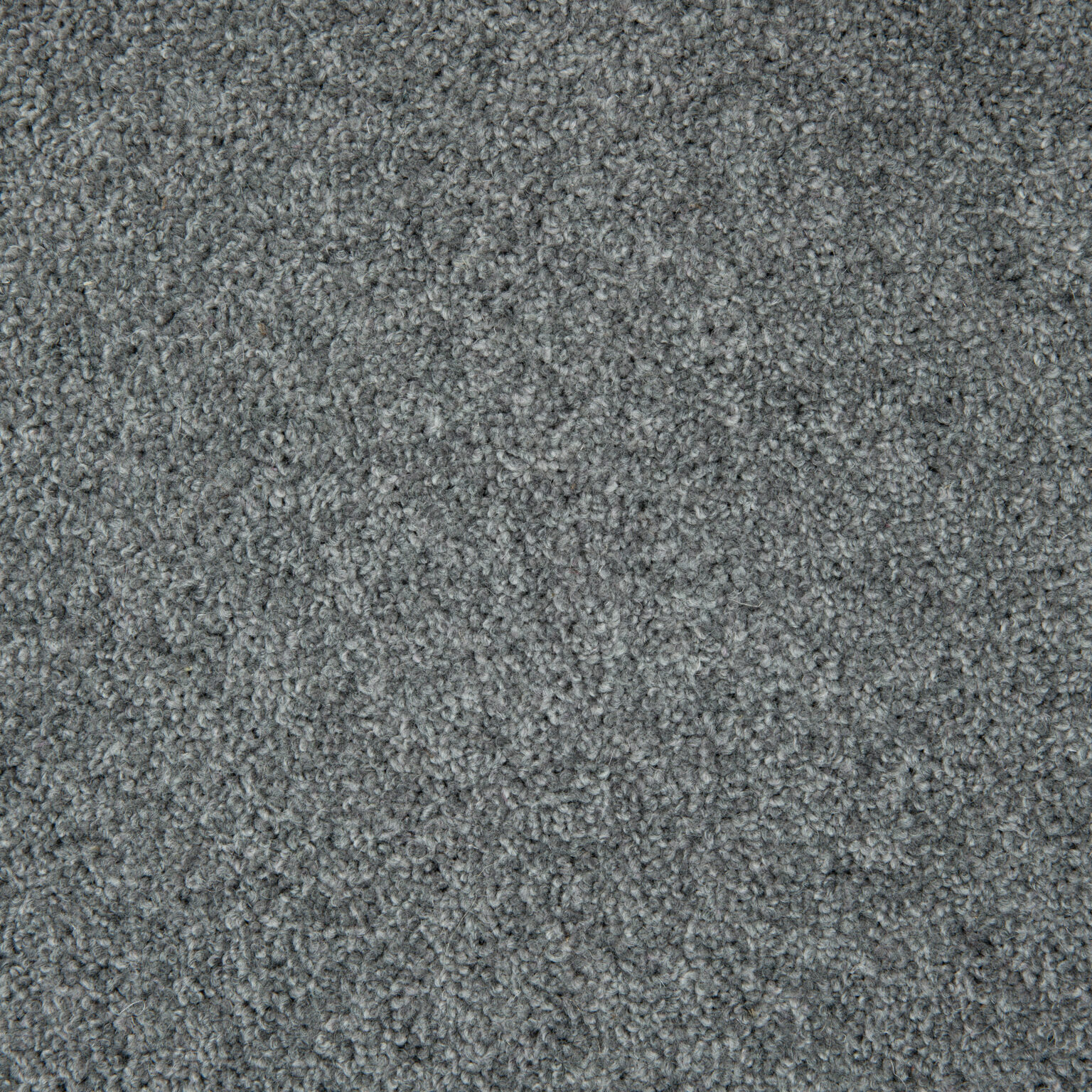 Shannon Onehunga Carpets & Rugs