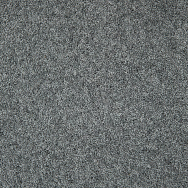 Shannon - Image 6