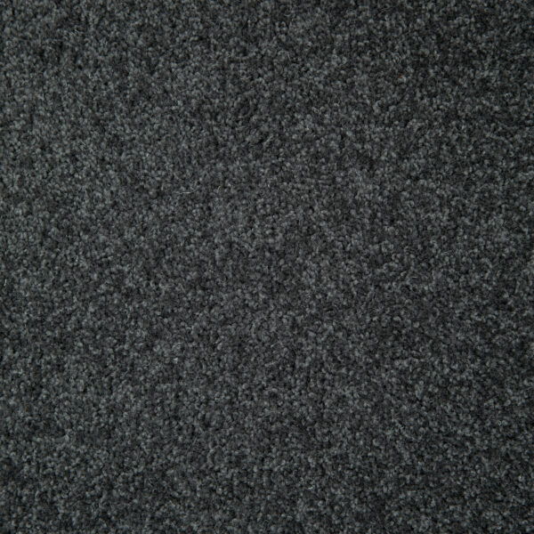 Shannon - Image 5
