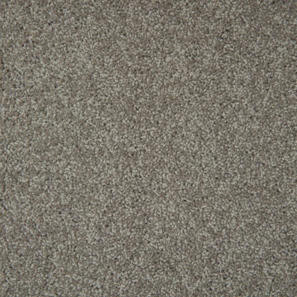 Shannon - Image 4