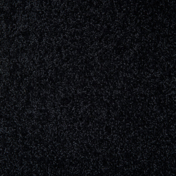 Shannon - Image 3