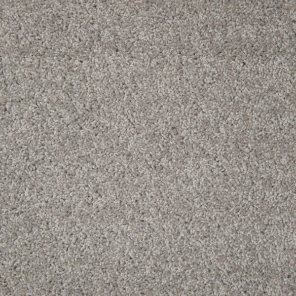 Shannon - Image 2