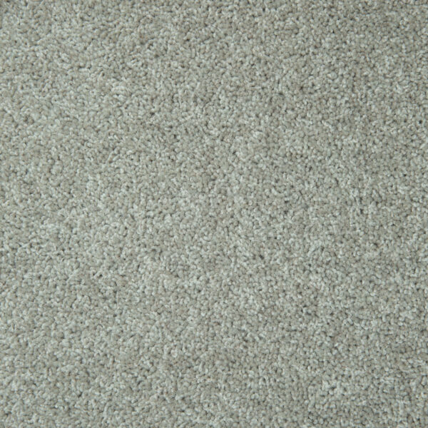 Takitimu - Image 6