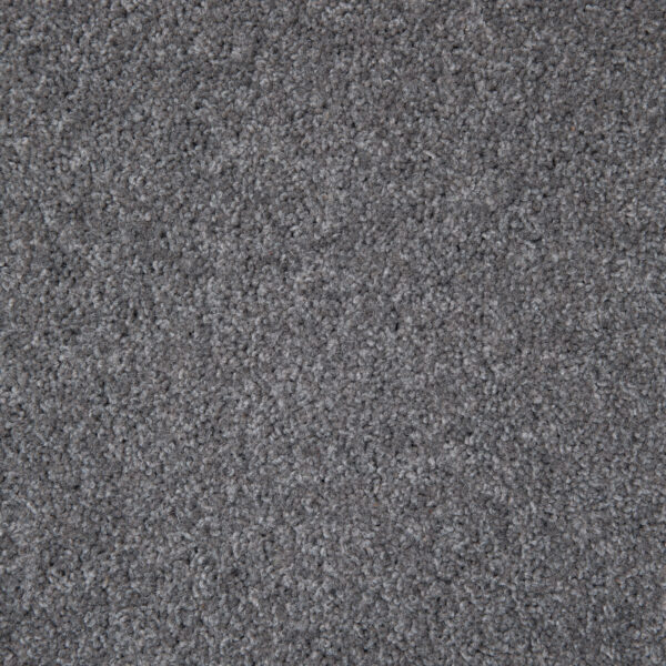 Takitimu - Image 4
