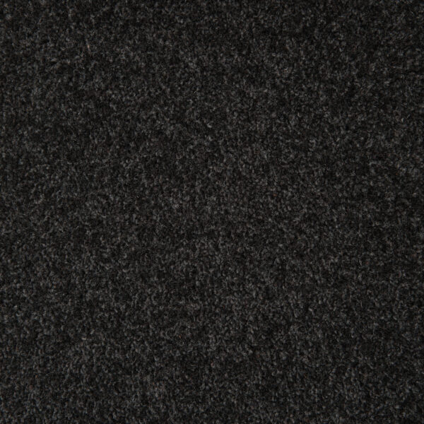 Takitimu - Image 2