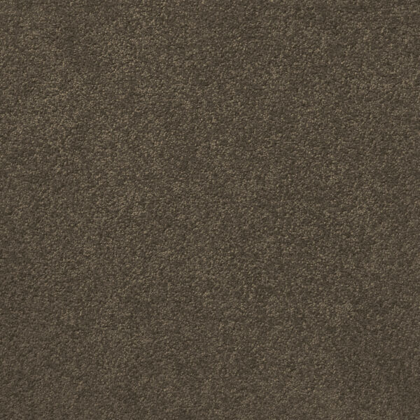 Empire - Image 14