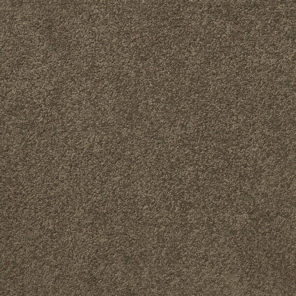 Empire - Image 13