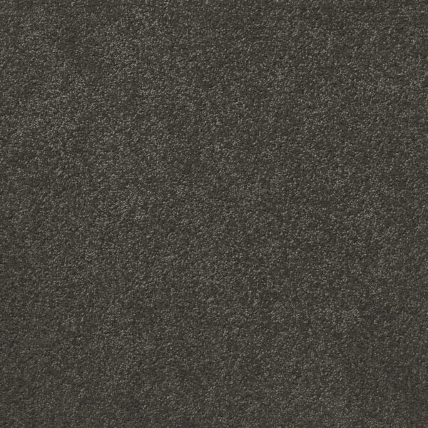 Empire - Image 3