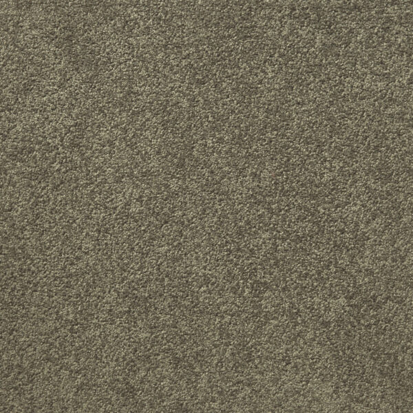 Liberty - Image 4