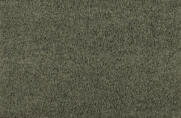 Pearl Bay - Image 3