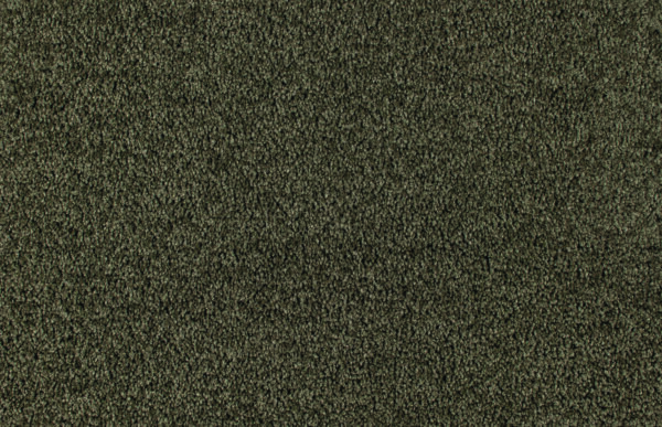 Pearl Bay - Image 4
