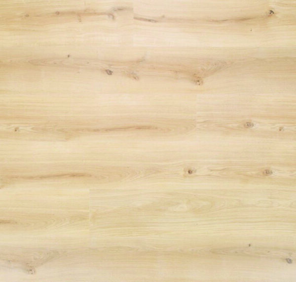 Legacy - Image 4