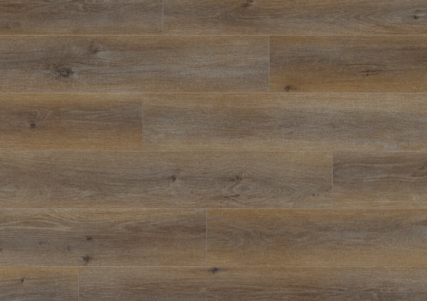 Legacy - Image 6