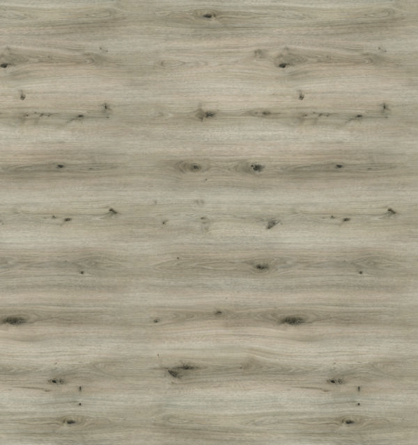 Legacy - Image 7