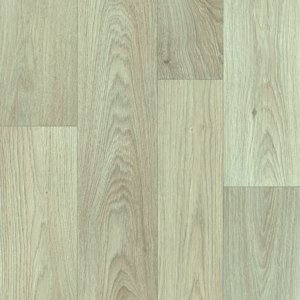Tasman - Image 10