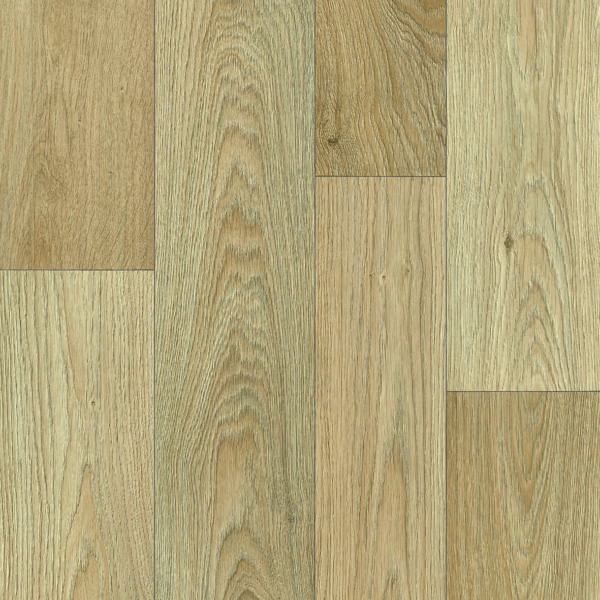 Tasman - Image 14