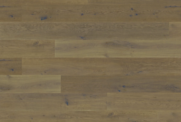 Regal Oak - Image 10