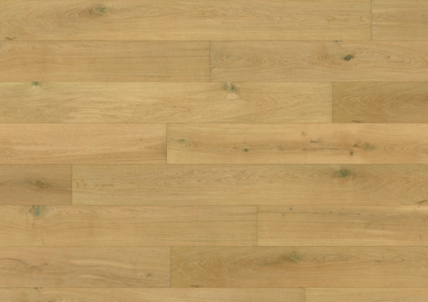 Regal Oak - Image 3