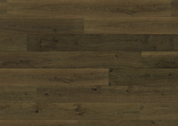 Regal Oak - Image 5